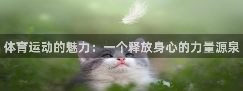 风速体育cba直播