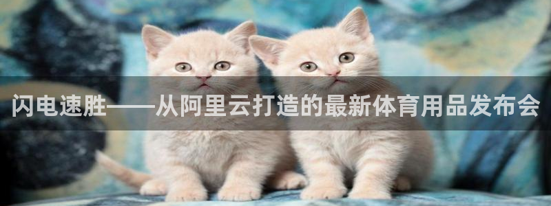 风速体育nba免费直播