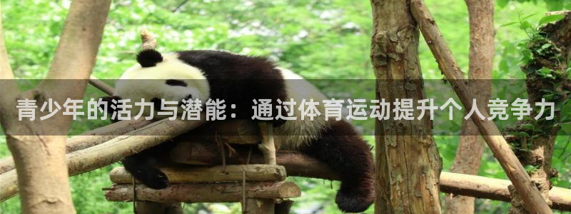 风速体育直播