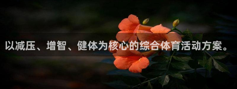 风速体育app官方下载