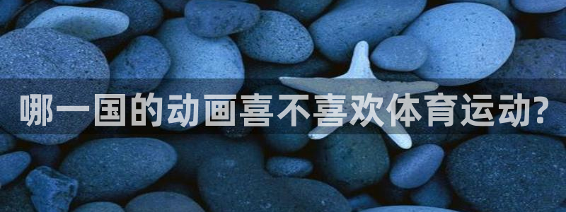 风速体育下载