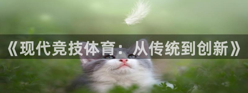 风速体育cba直播