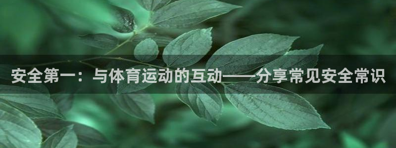 风速体育：安全第一：与体育运动的互动——分享常见安全常识