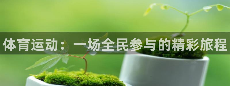 风速体育nba直播