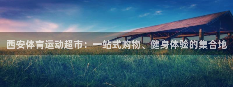 风速体育直播
