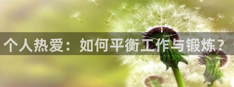 风速体育