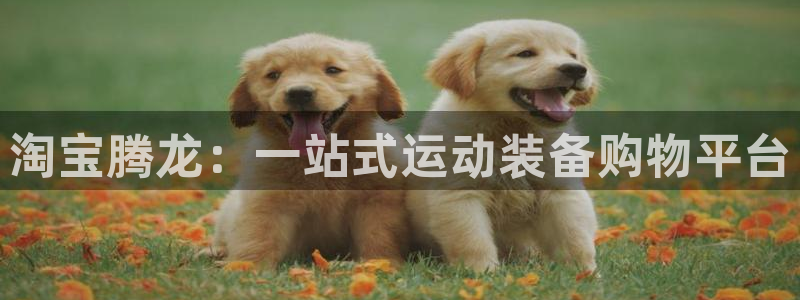 风速体育nba直播
