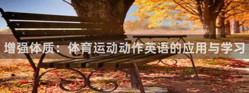 风速体育