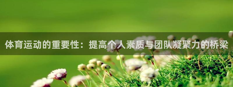 风速体育app官方下载