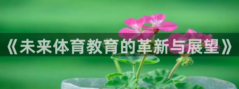 风速体育app